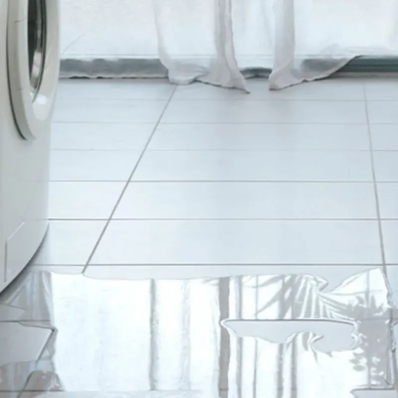Appliance Leak Cleanup in Ashland County, WI