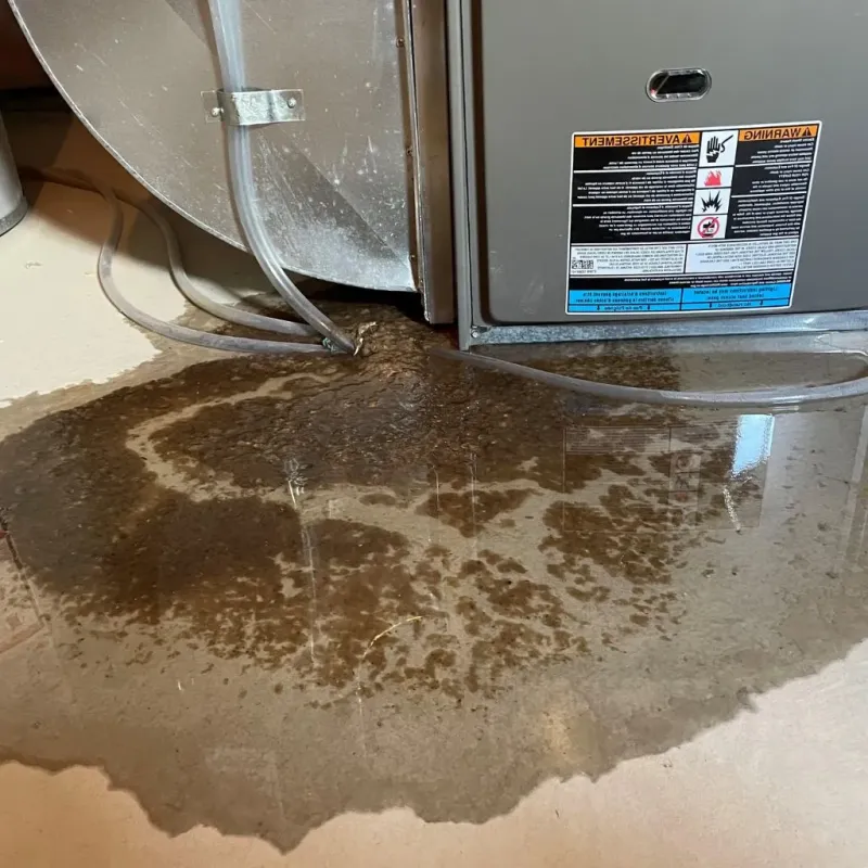 Pipe Burst and Leak Restoration in Ashland County, WI