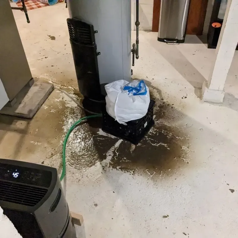 Sewage Backup Cleanup Service in Ashland County, WI